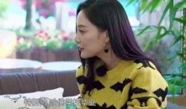 韩国娱记爆料韩佳人视频,娱记爆料背后的真相揭晓